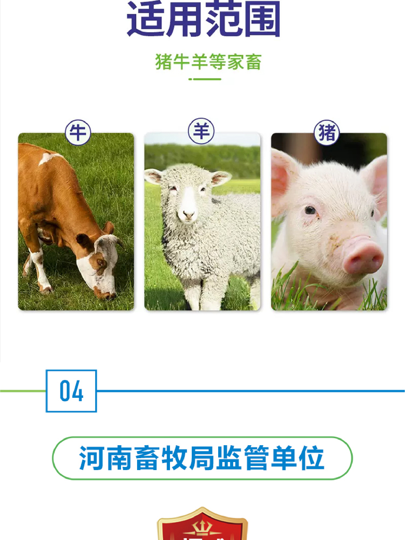 詳情頁(yè)1.3 副本 2 (5).jpg