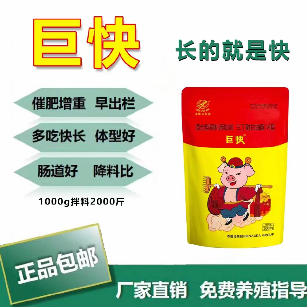 生豬如何高效催肥？