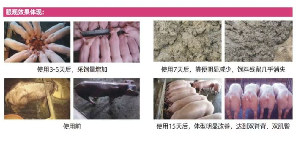 1723173706141398.jpg 微信圖片_20240809112048.jpg